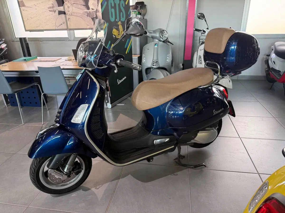 Vespa GTS 300 Hpe (2019) (5)
