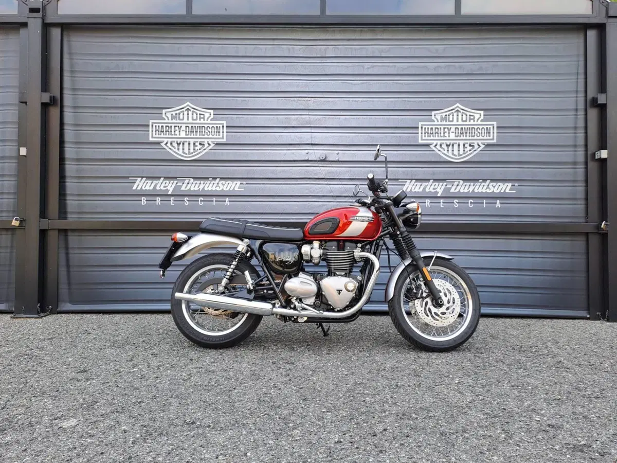 Triumph Bonneville T120 Elvis (2024 - 26)