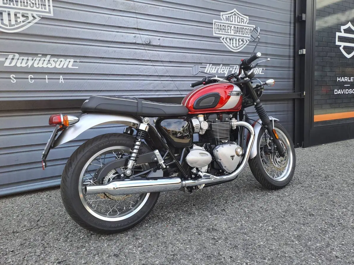 Triumph Bonneville T120 Elvis (2024 - 26) (3)