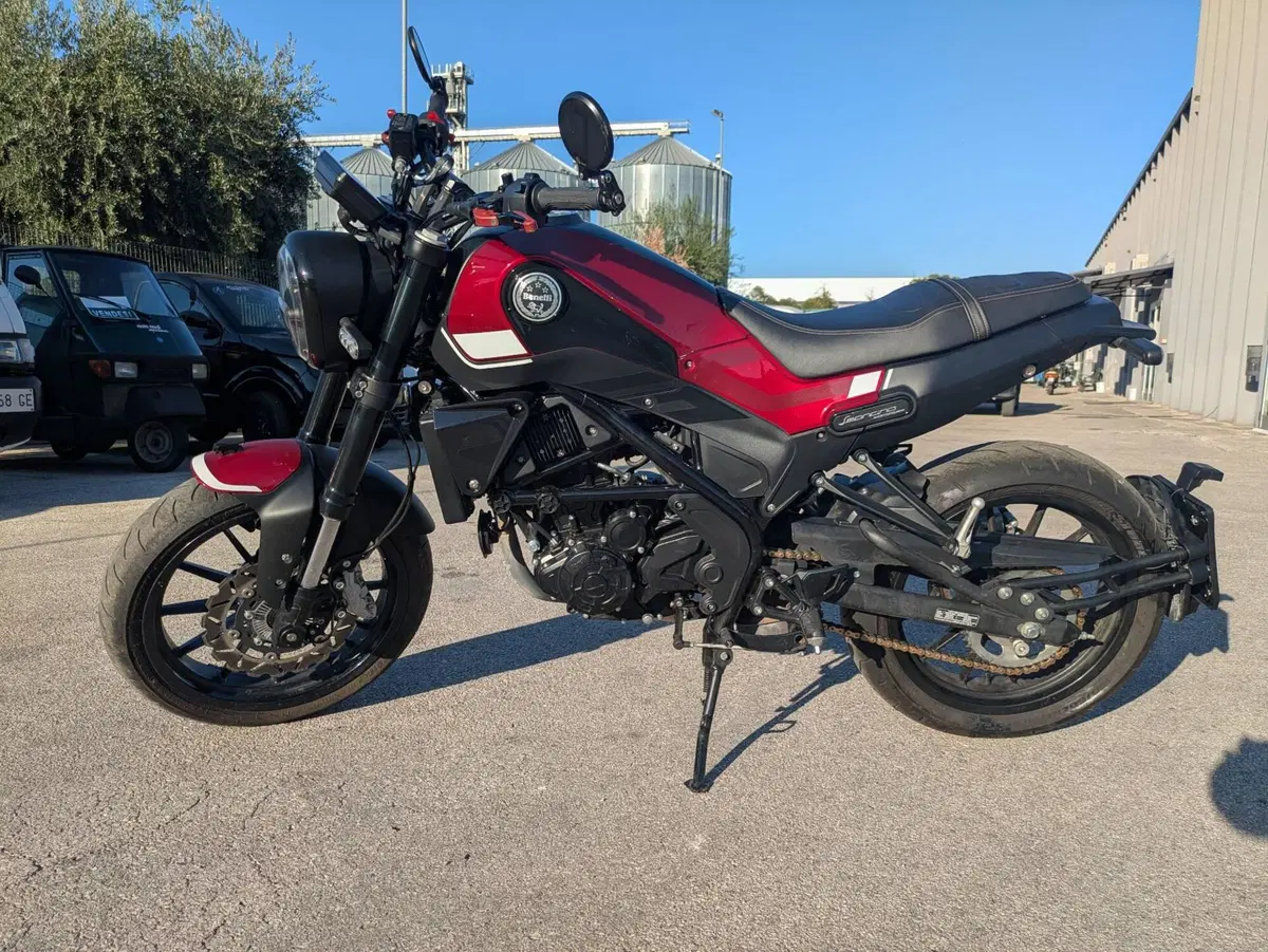Benelli Leoncino 250 (2019 - 20) (2)