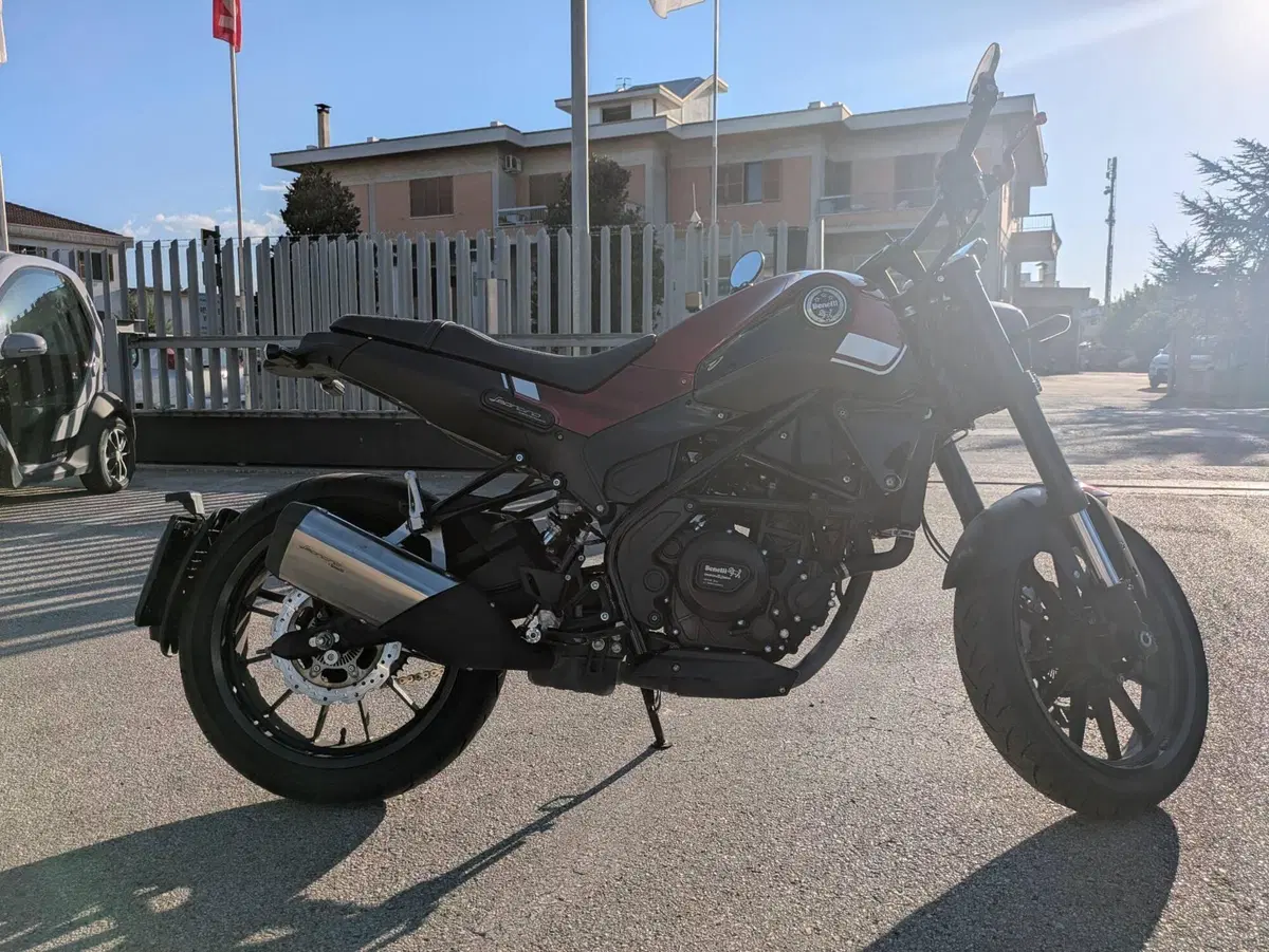 Benelli Leoncino 250 (2019 - 20) (5)