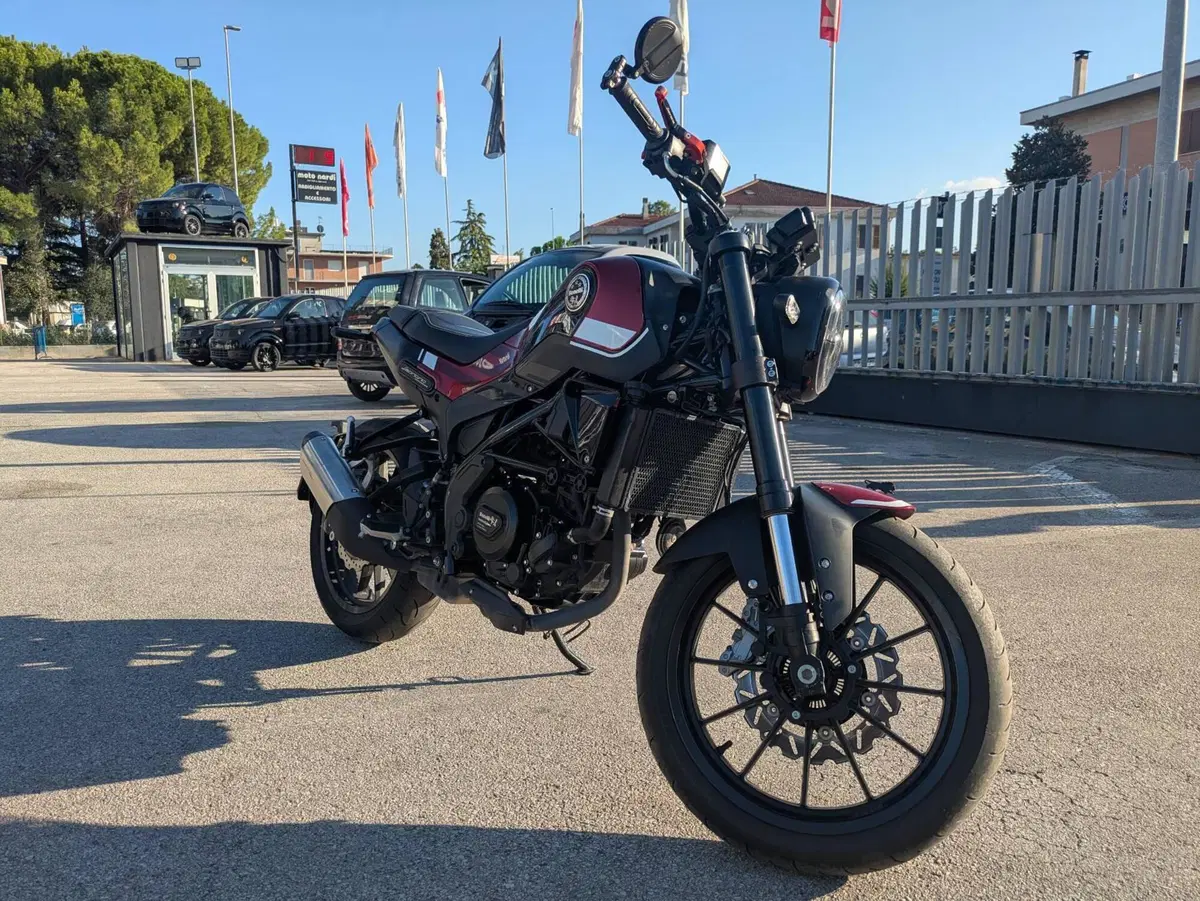 Benelli Leoncino 250 (2019 - 20) (6)