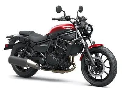 Kawasaki Eliminator 500 (2024 - 26) nuova