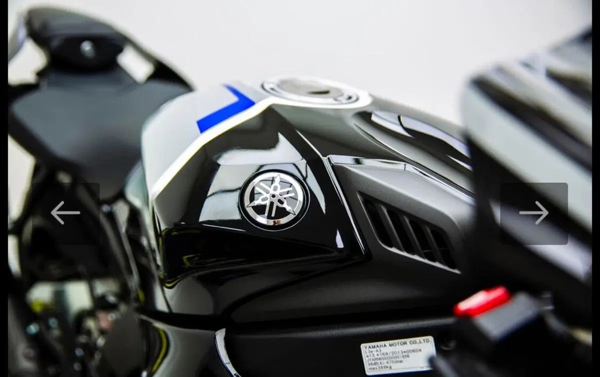 Yamaha YZF R1M (2020 - 25) (10)