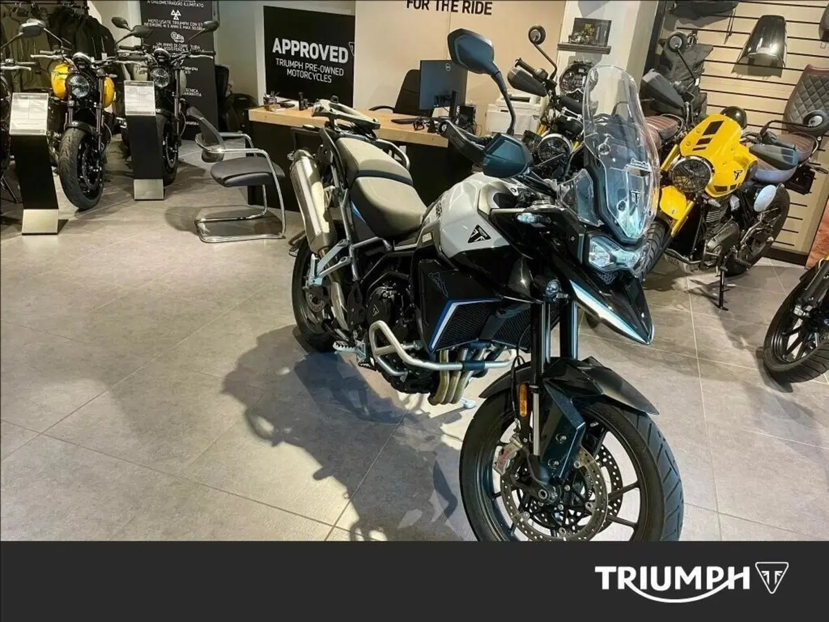 Triumph Tiger 900 Alpine Special Edition (2026) (2)