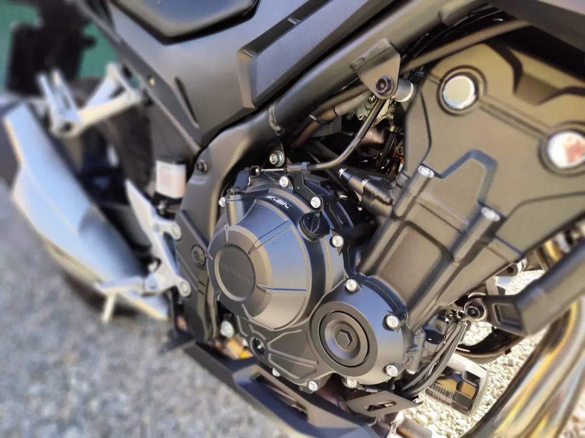 Honda CB 500 Hornet (2024 - 25) (12)