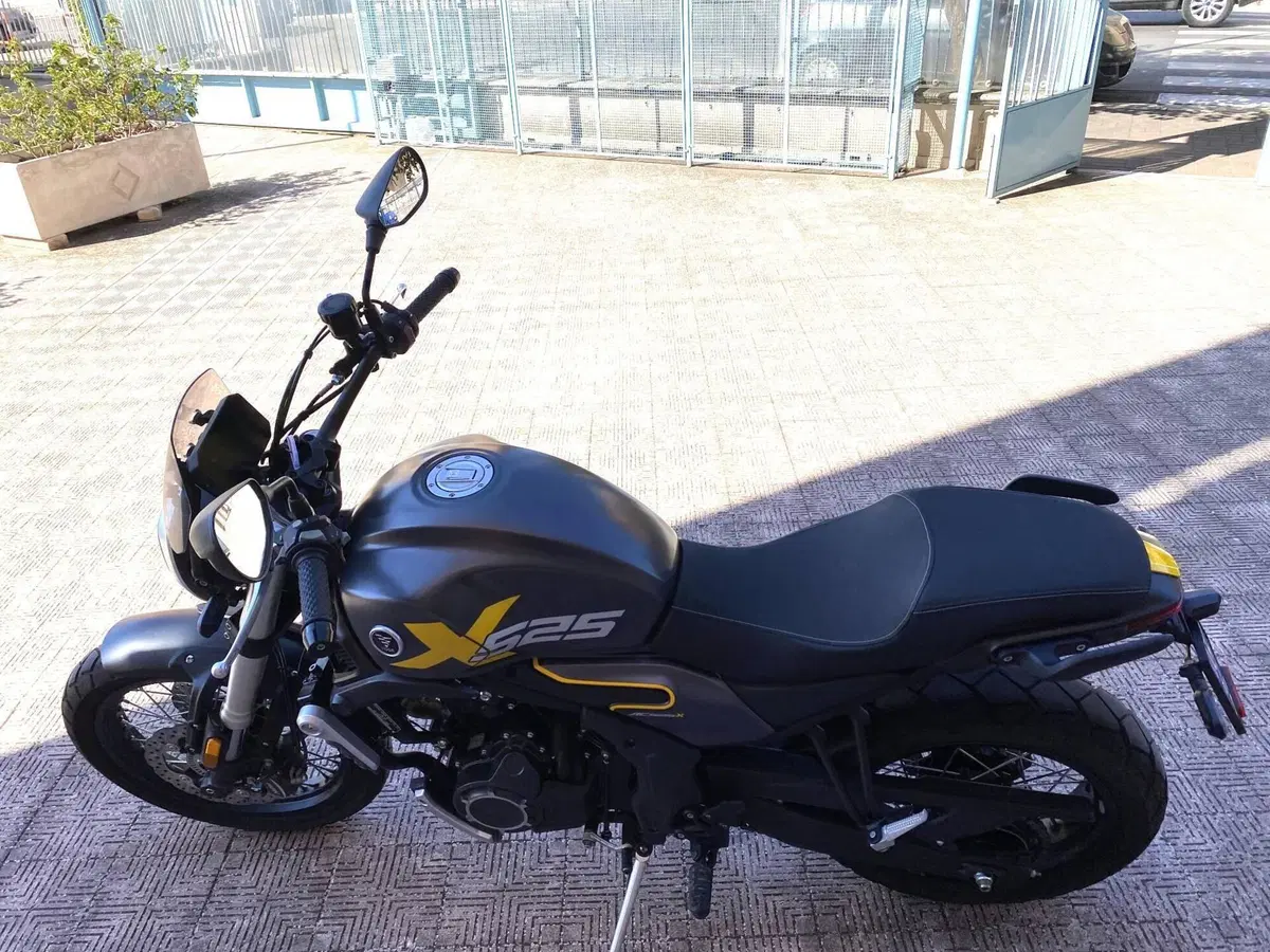 Voge Trofeo 525ACX Scrambler (2023 - 26) (4)