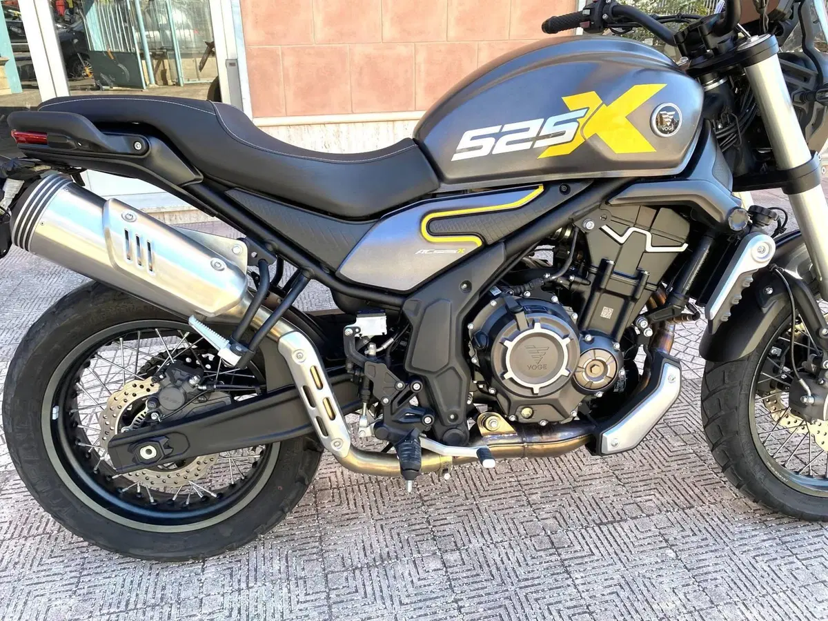 Voge Trofeo 525ACX Scrambler (2023 - 26) (5)