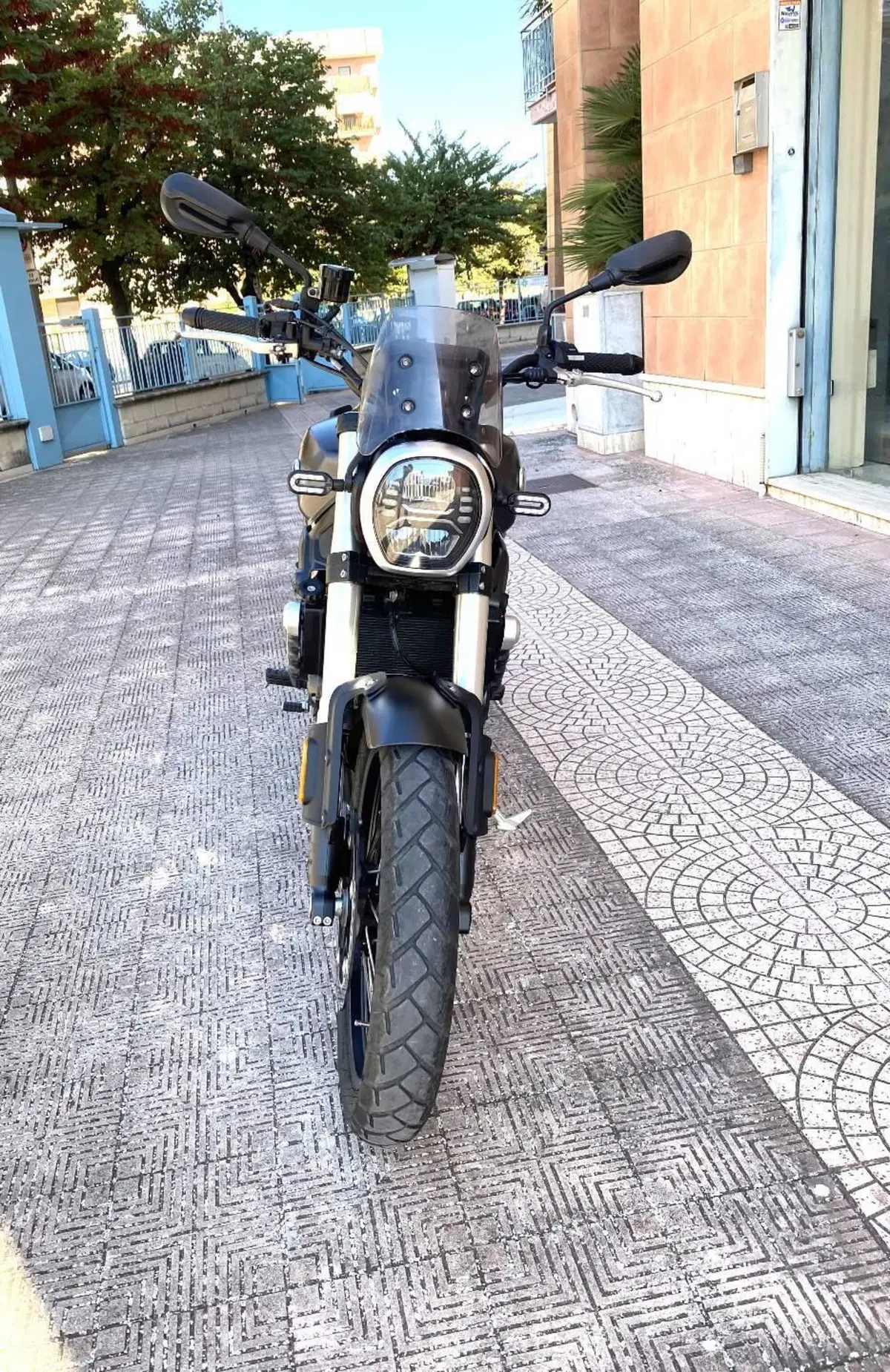 Voge Trofeo 525ACX Scrambler (2023 - 26) (7)