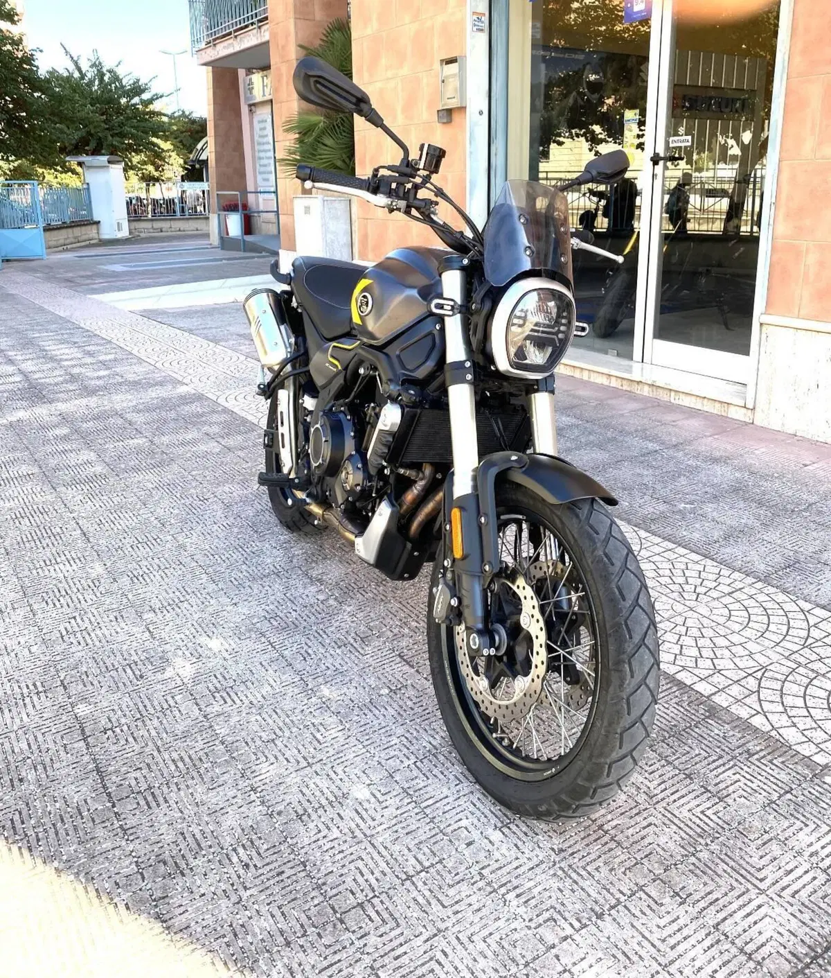 Voge Trofeo 525ACX Scrambler (2023 - 26) (8)