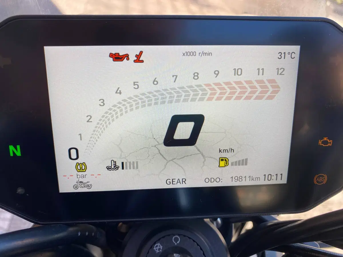 Voge Trofeo 525ACX Scrambler (2023 - 26) (9)