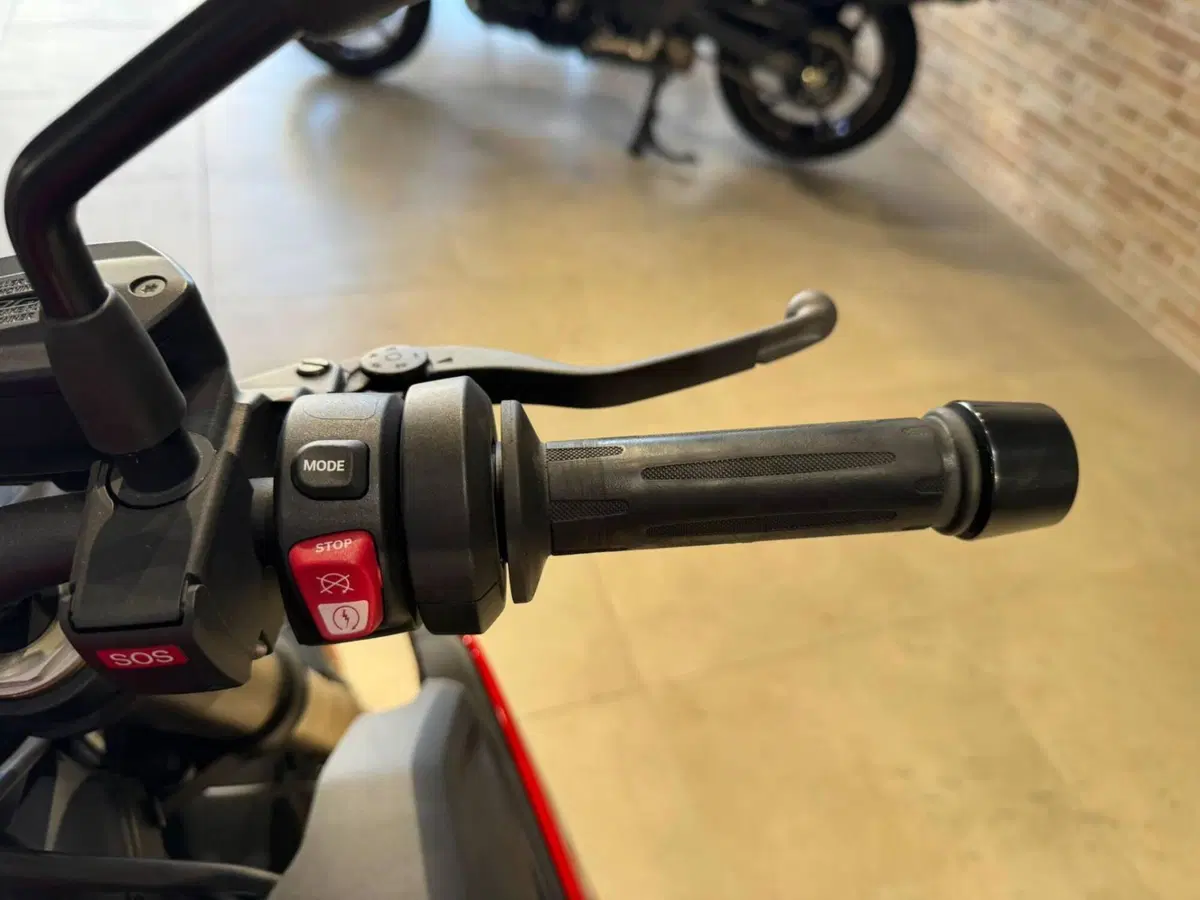 Bmw S 1000 R (2021 - 24) (13)