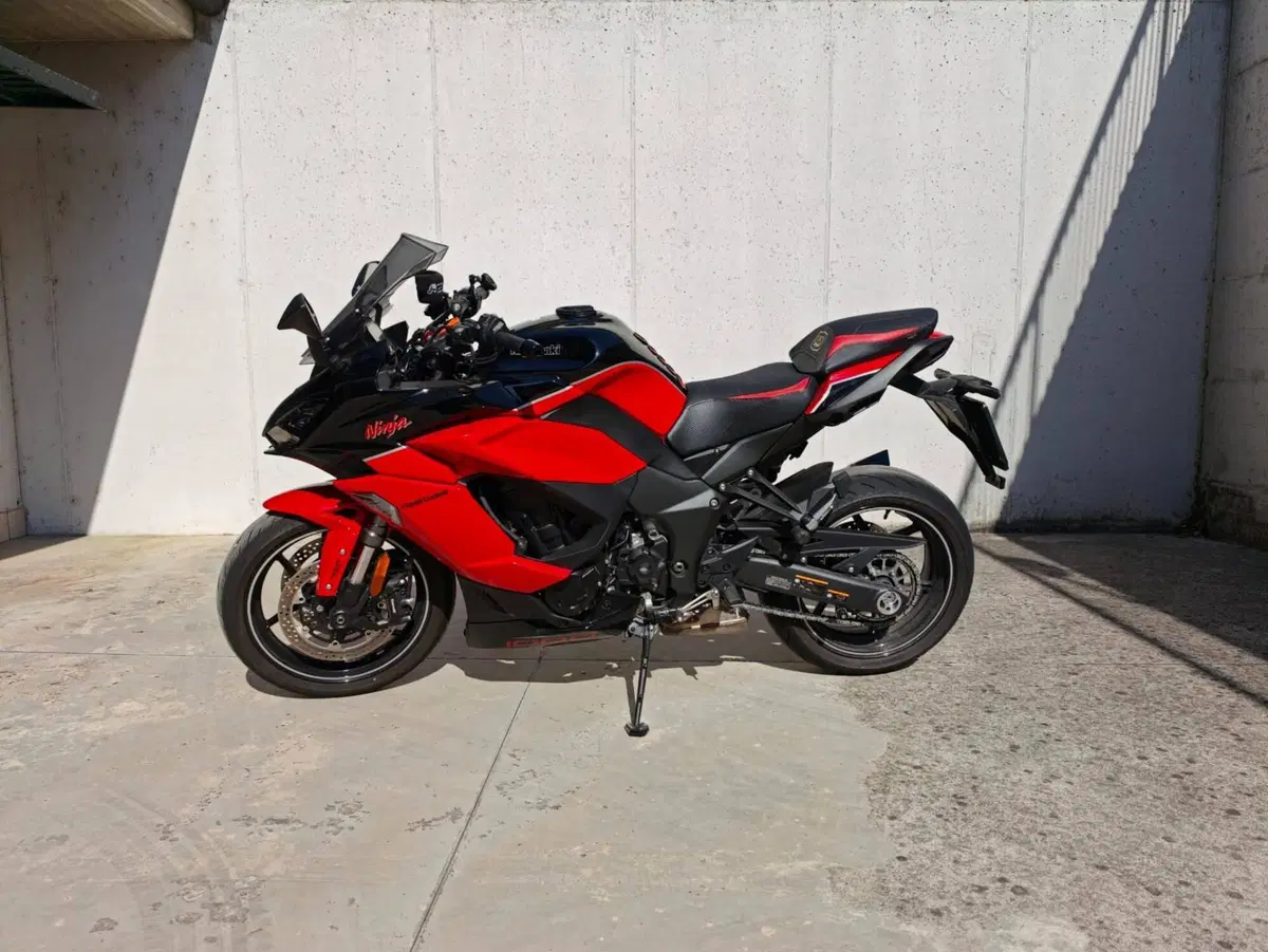 Kawasaki Ninja 1000 SX 40th Anniversary Edition (2024) (4)