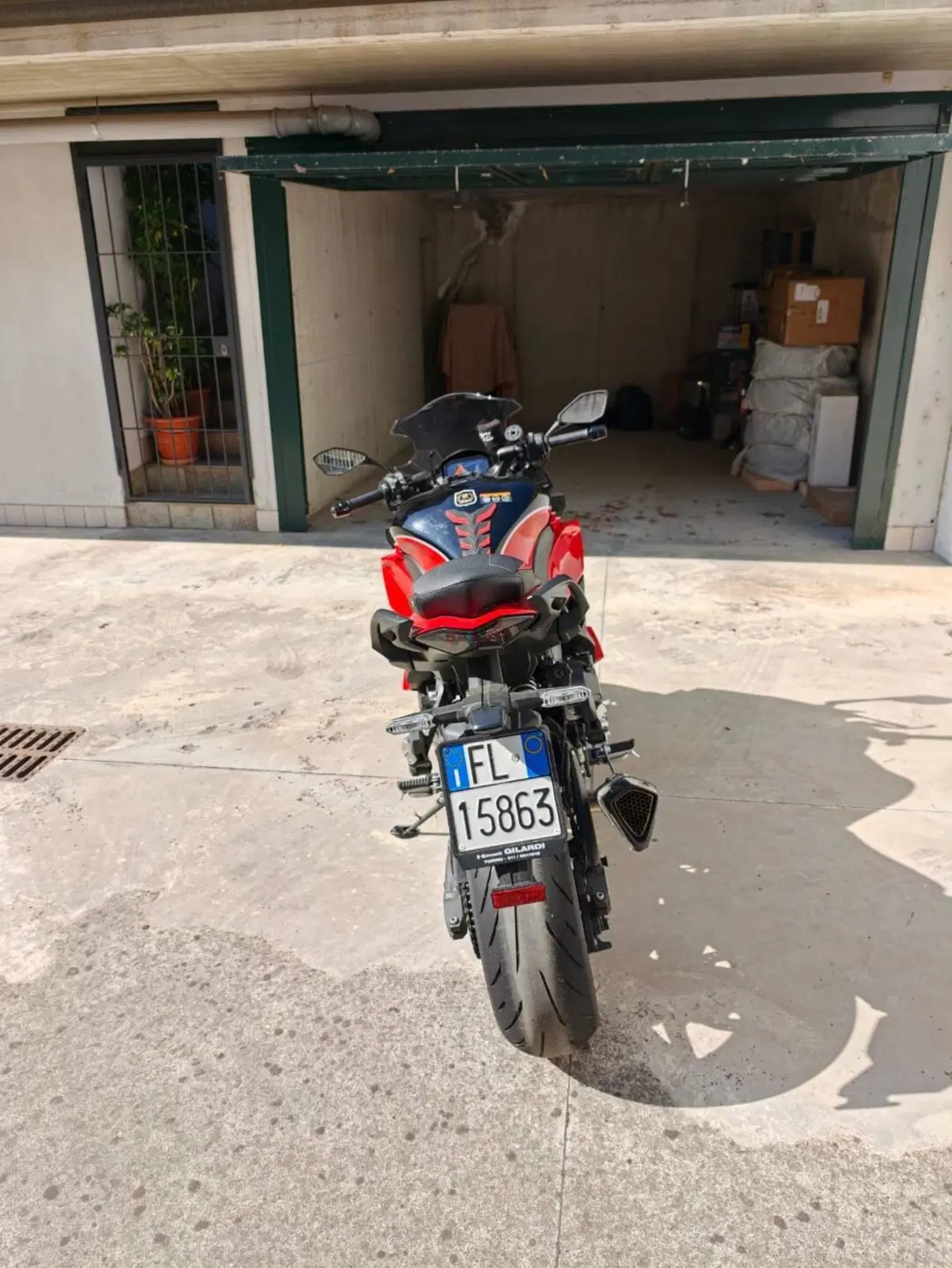 Kawasaki Ninja 1000 SX 40th Anniversary Edition (2024) (5)
