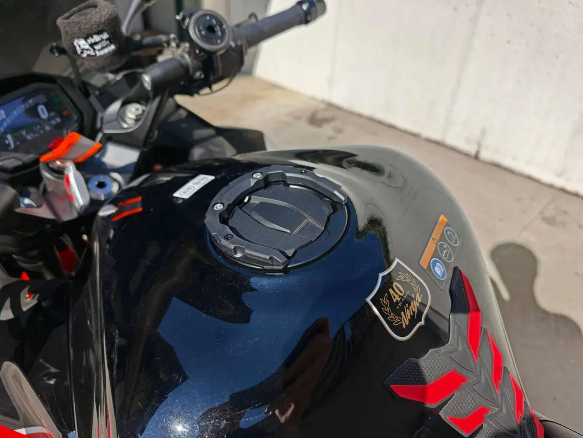 Kawasaki Ninja 1000 SX 40th Anniversary Edition (2024) (6)