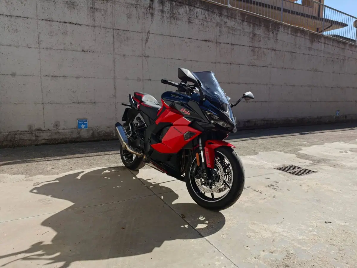 Kawasaki Ninja 1000 SX 40th Anniversary Edition (2024) (7)