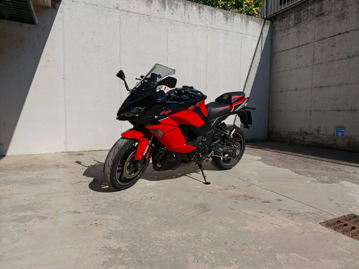 Kawasaki Ninja 1000 SX 40th Anniversary Edition (2024) (8)