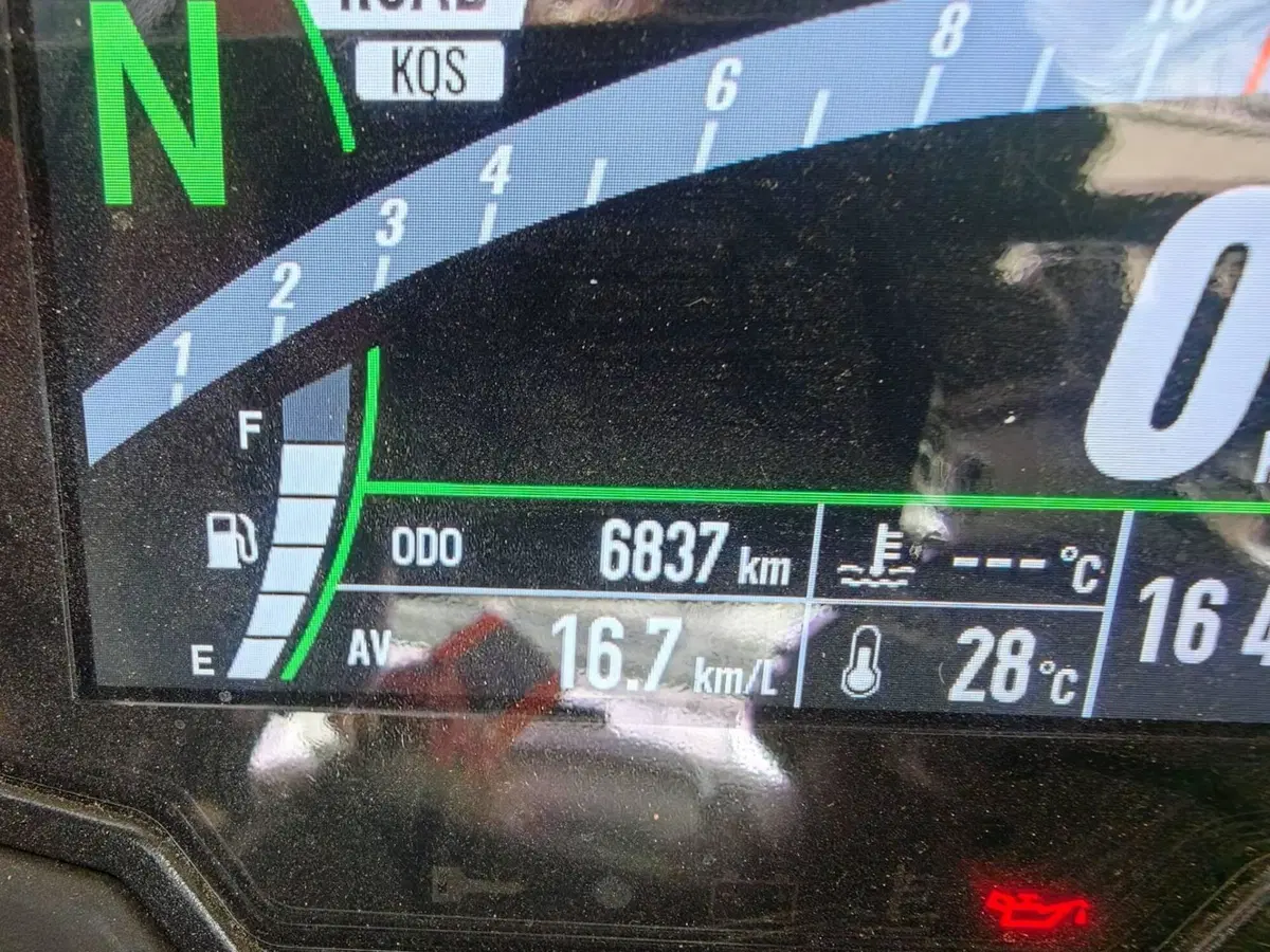 Kawasaki Ninja 1000 SX 40th Anniversary Edition (2024) (9)