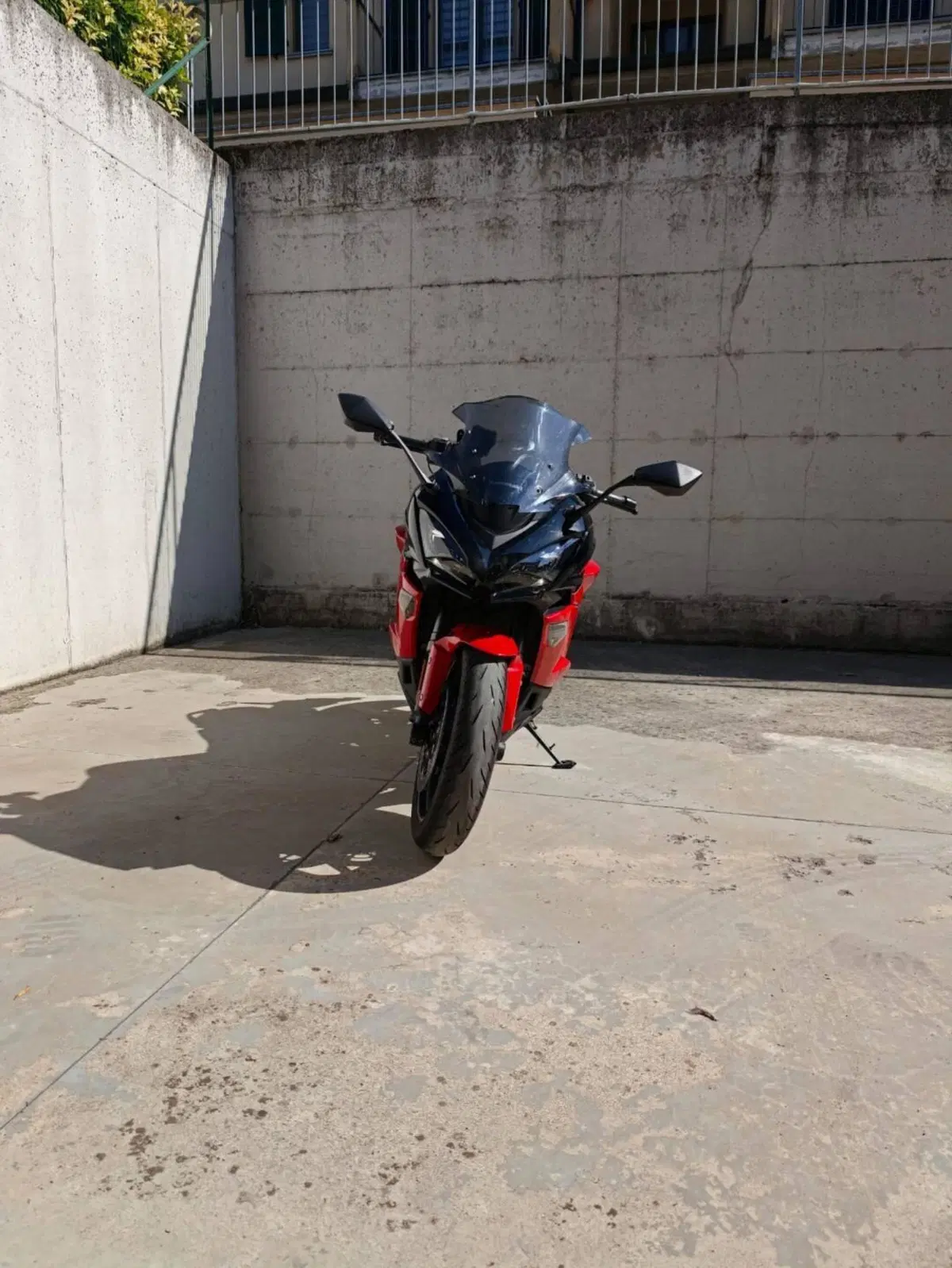 Kawasaki Ninja 1000 SX 40th Anniversary Edition (2024) (10)