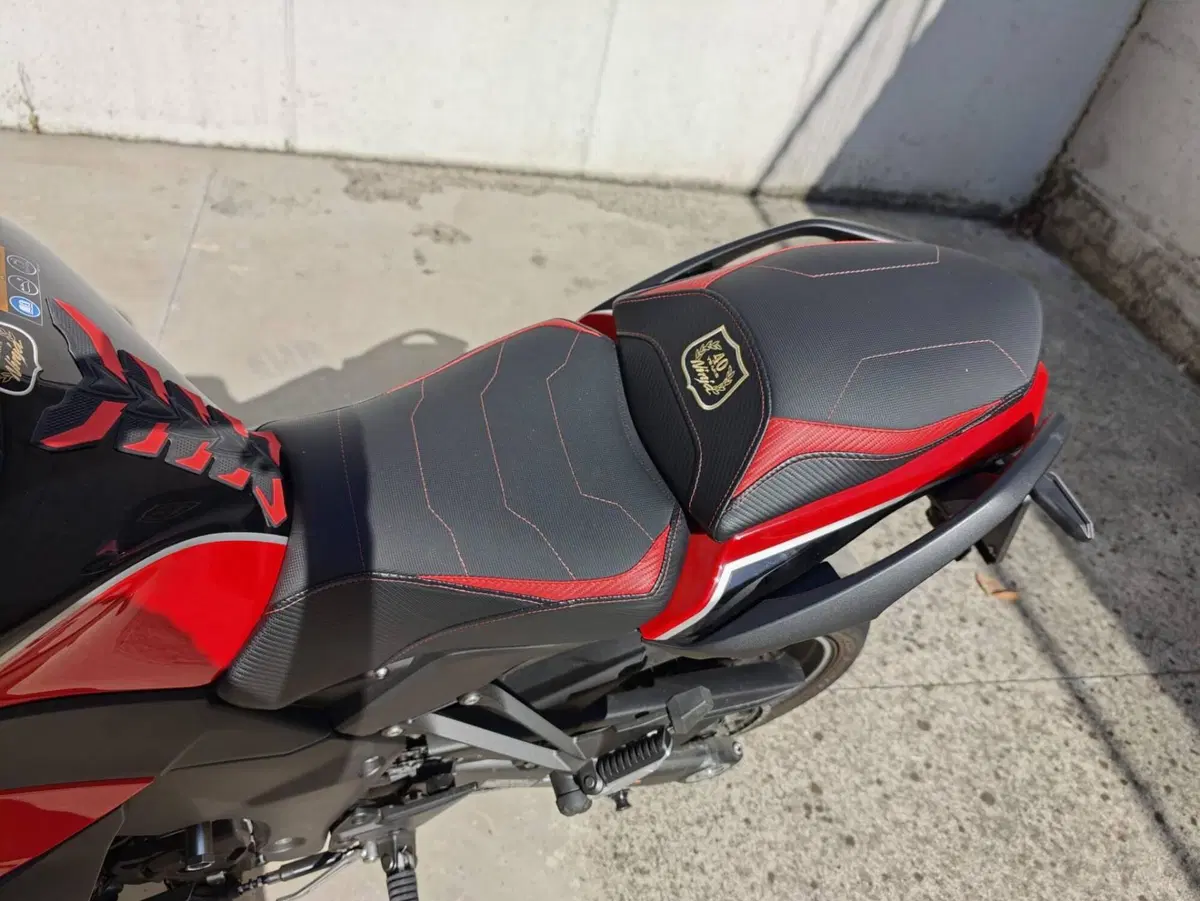Kawasaki Ninja 1000 SX 40th Anniversary Edition (2024) (12)