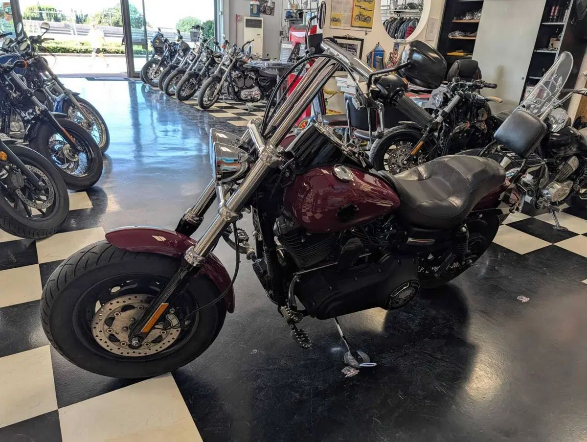 Harley-Davidson 1690 Fat Bob (2014 - 16) - FXDF (14)
