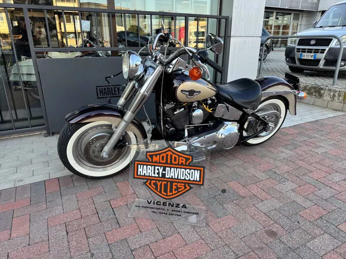 Harley-Davidson 1340 Fat Boy (1990 - 99) - FLSTF (2)