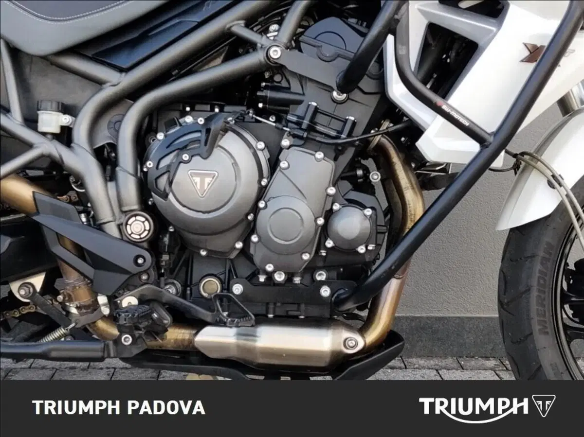 Triumph Tiger 800 XRt (2018 - 20) (3)