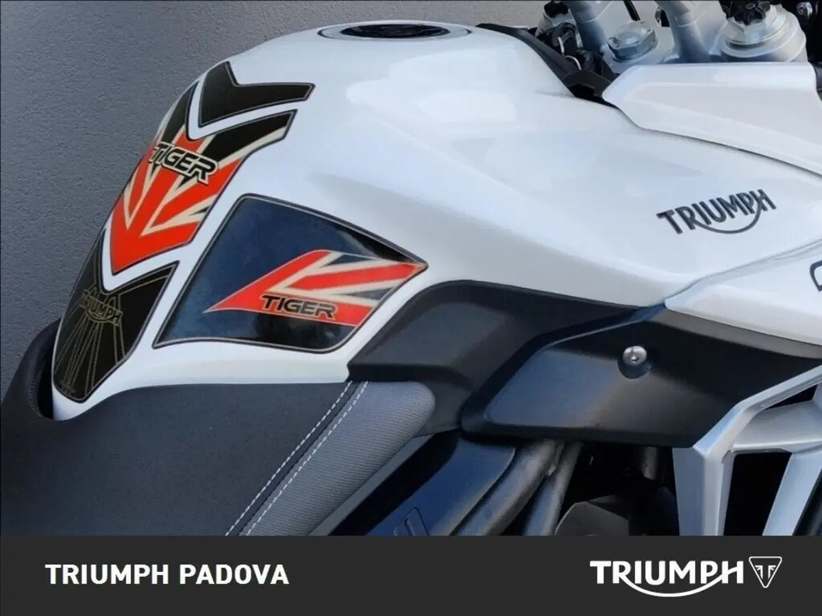 Triumph Tiger 800 XRt (2018 - 20) (4)