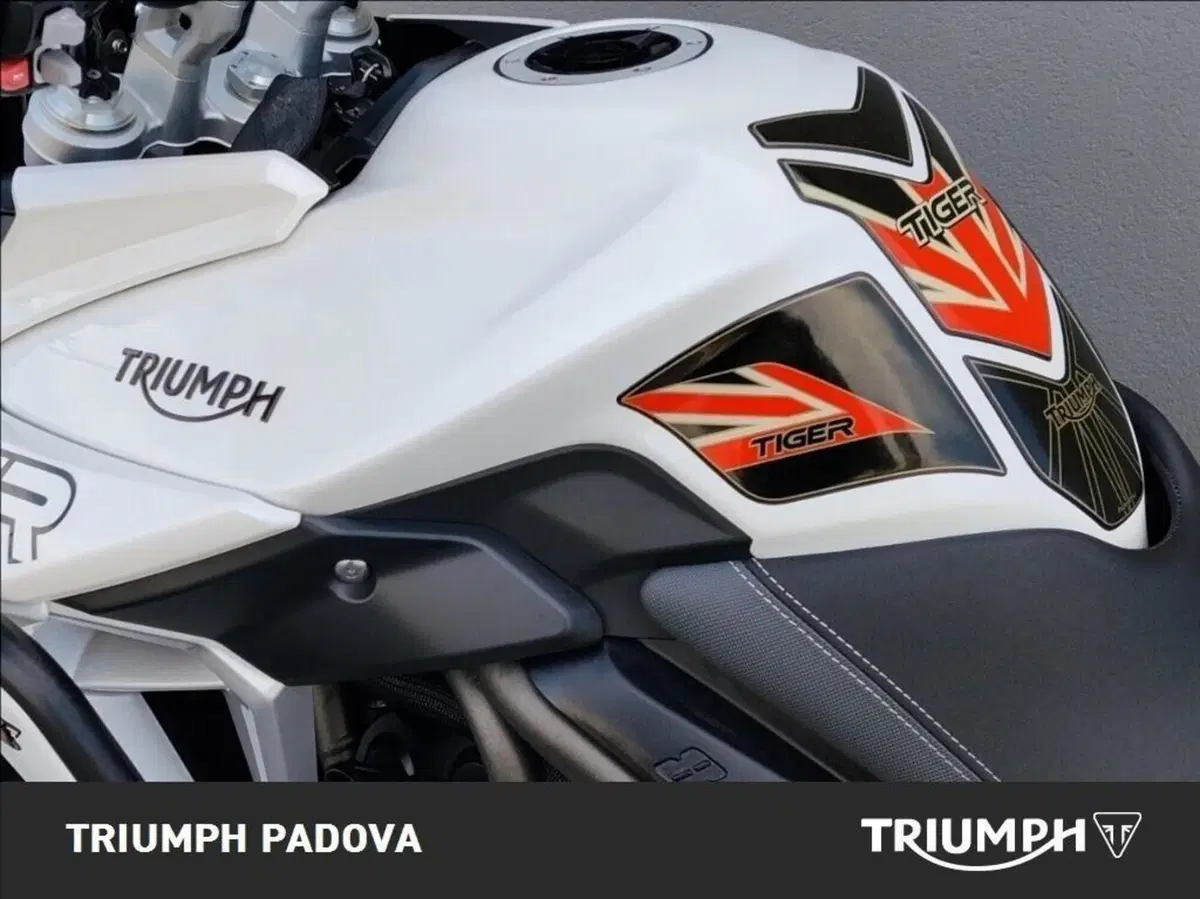 Triumph Tiger 800 XRt (2018 - 20) (9)