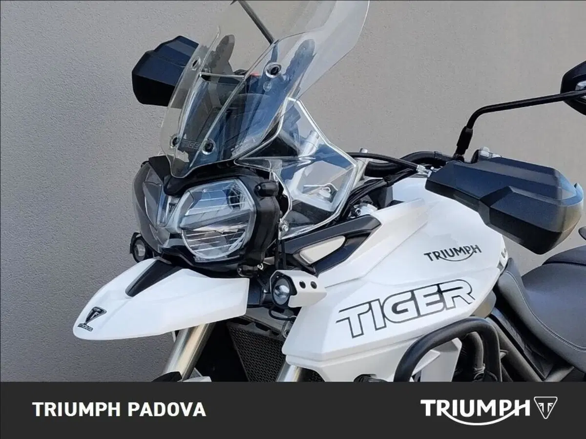 Triumph Tiger 800 XRt (2018 - 20) (10)