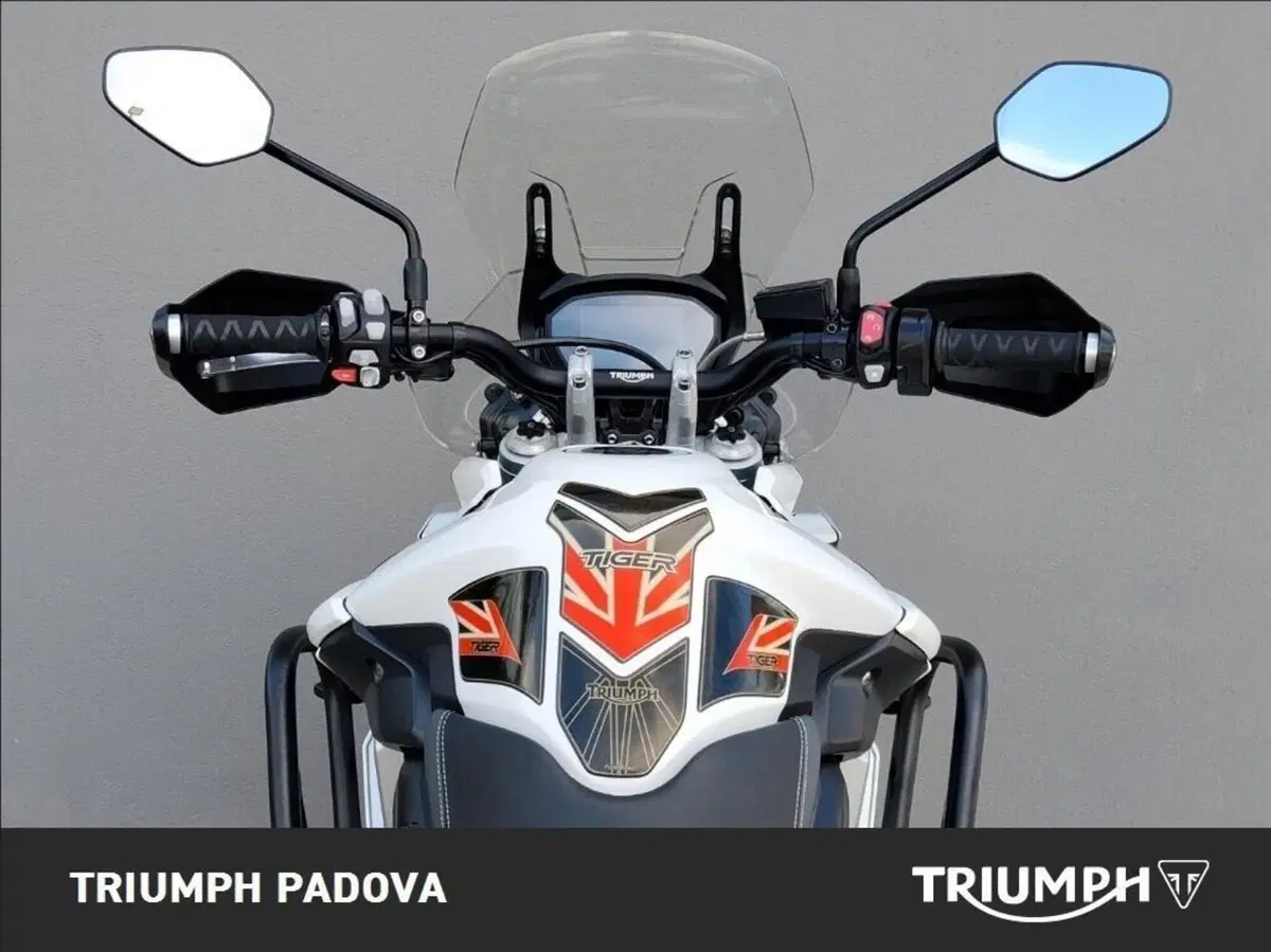 Triumph Tiger 800 XRt (2018 - 20) (11)