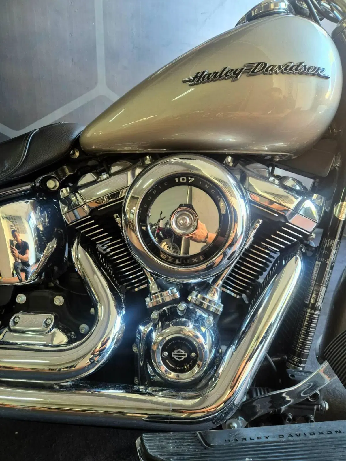 Harley-Davidson 107 Deluxe (2018 - 20) - FLDE (6)
