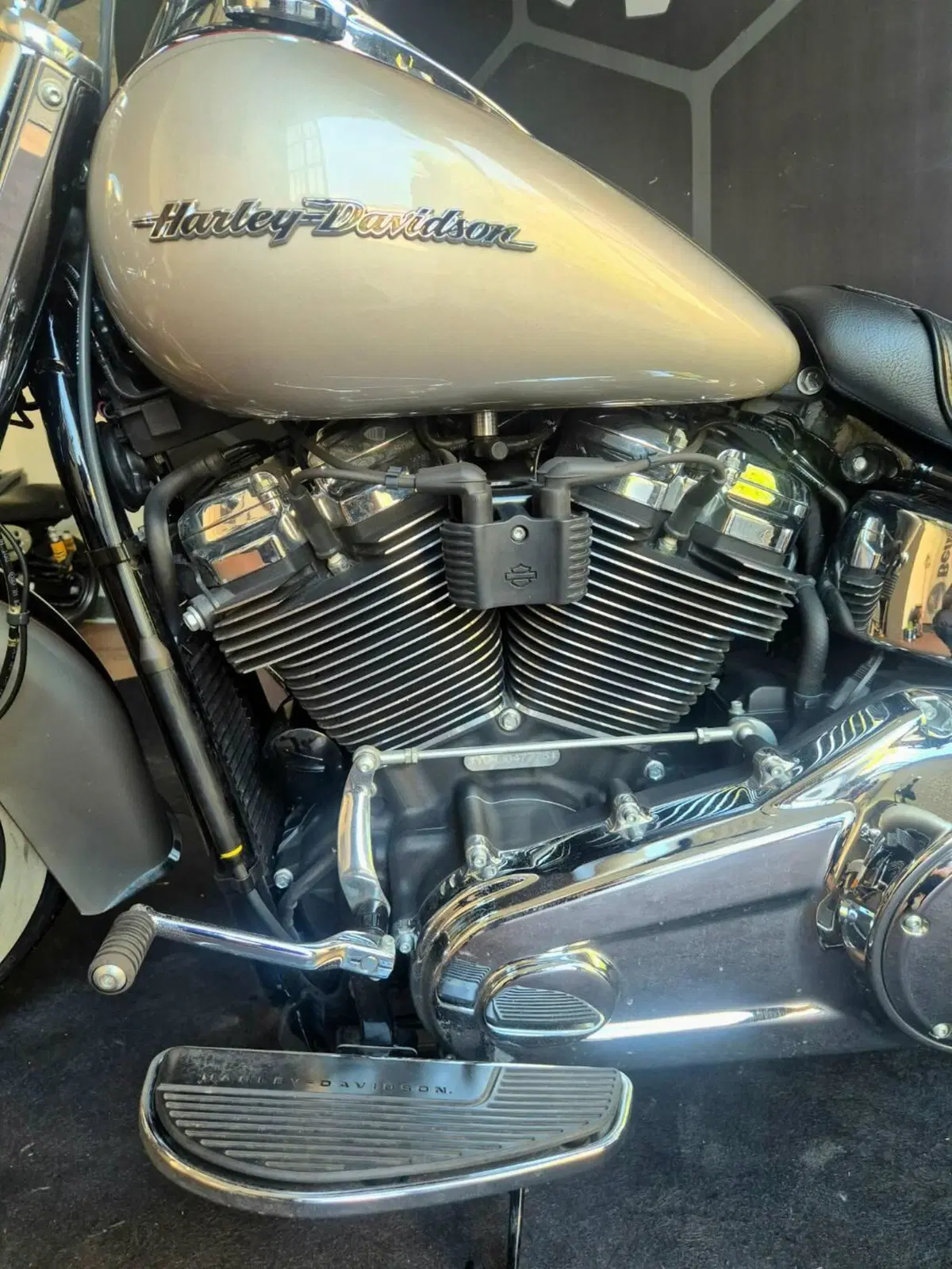 Harley-Davidson 107 Deluxe (2018 - 20) - FLDE (7)