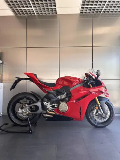 Ducati Panigale V4 S (2025 - 26) usata