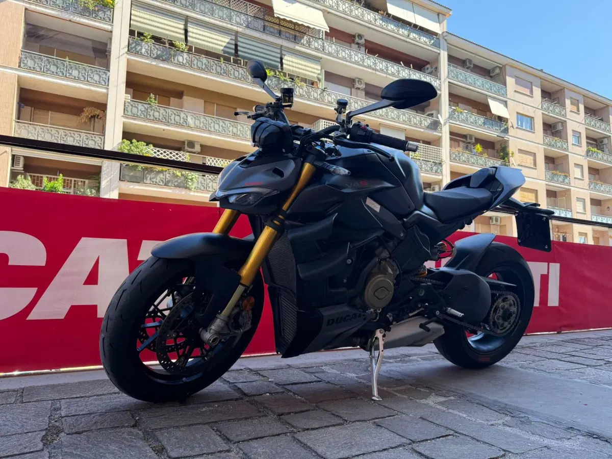 Ducati Streetfighter V4 S (2023 - 24) (7)