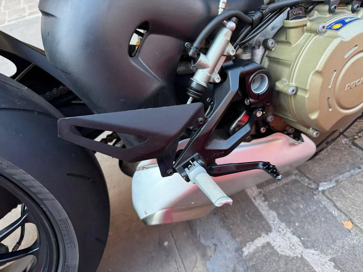 Ducati Streetfighter V4 S (2023 - 24) (15)