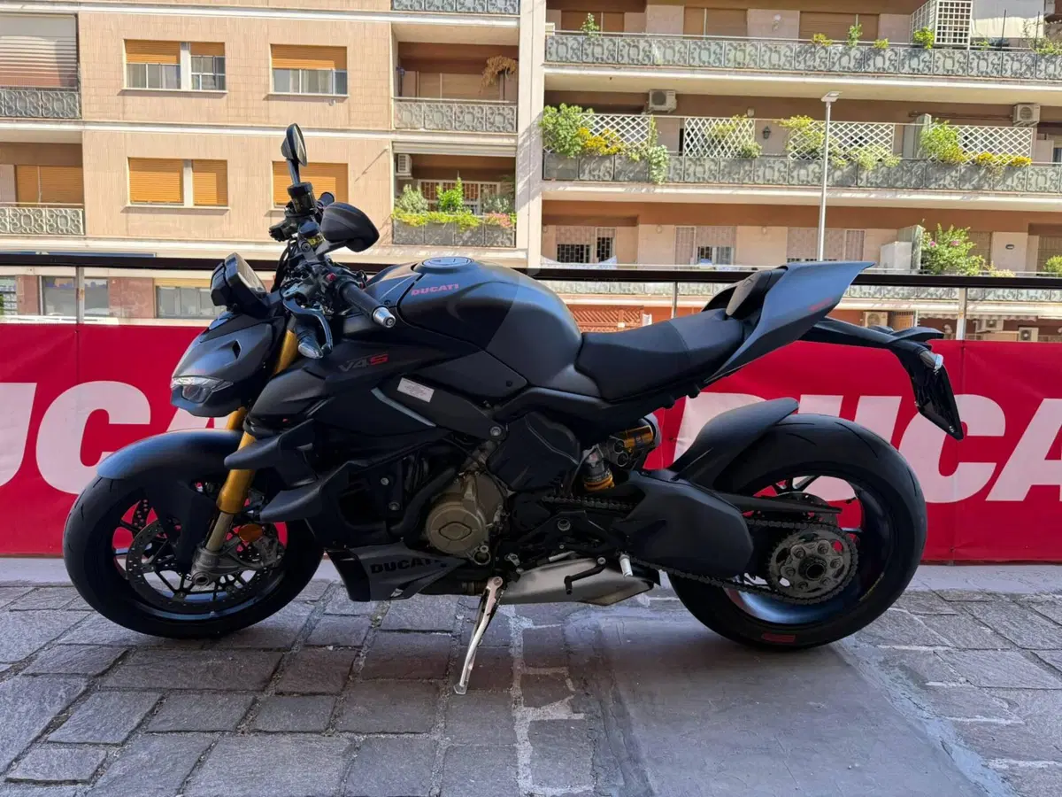 Ducati Streetfighter V4 S (2023 - 24) (6)