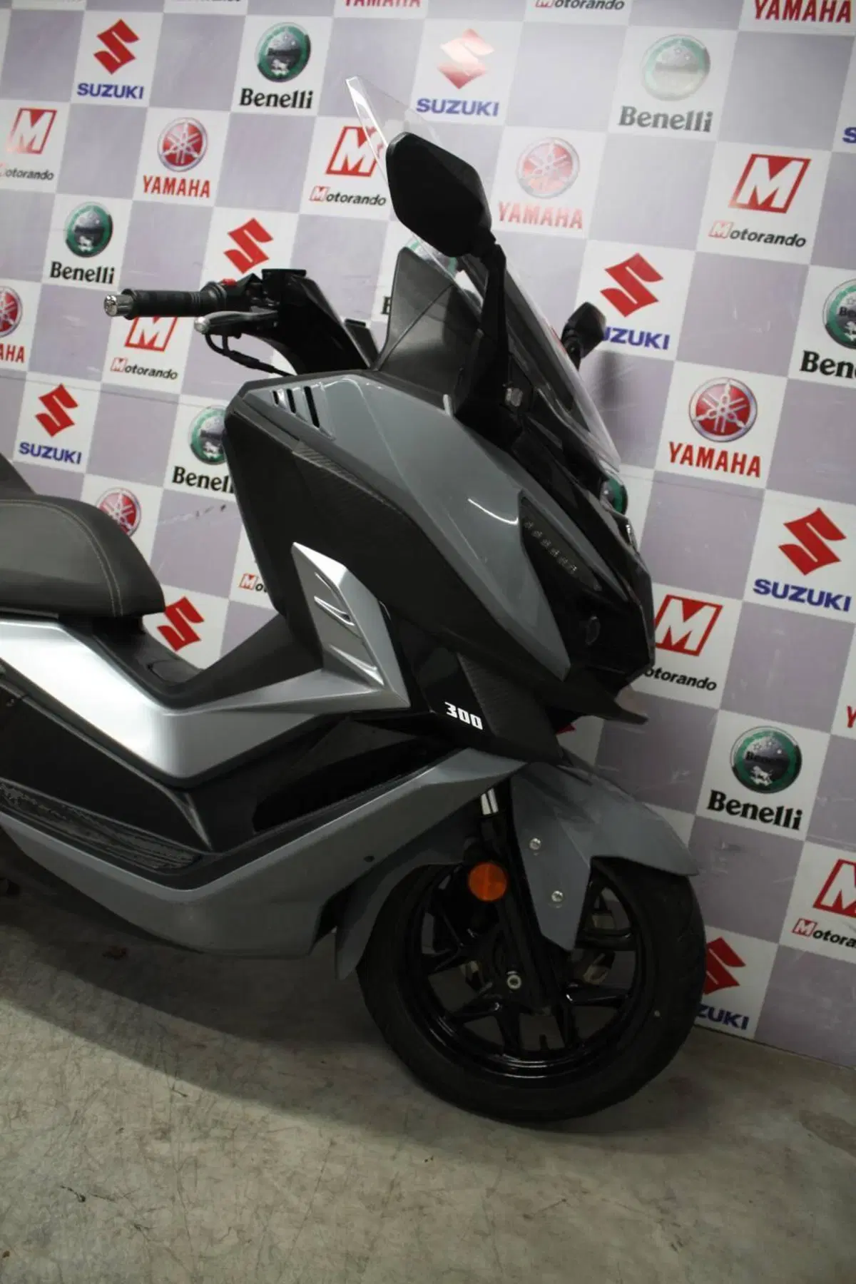 Sym Cruisym 300 (2021 - 24) (3)