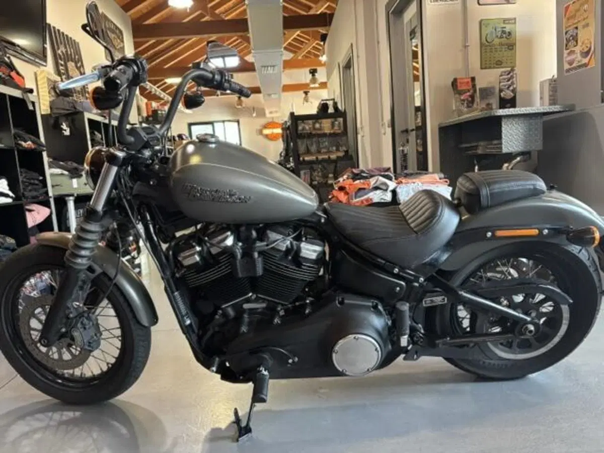 Harley-Davidson 107 Street Bob (2018 - 20) - FXBB (5)