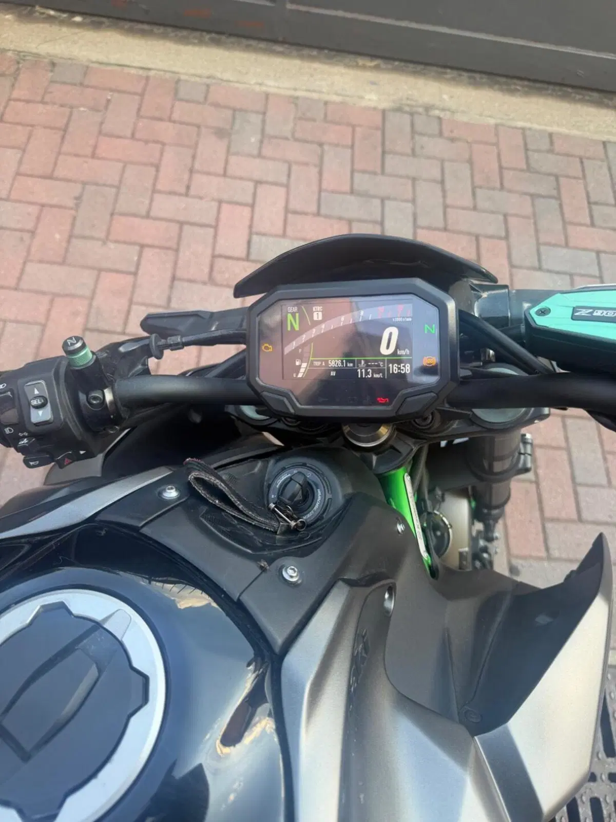 Kawasaki Z 900 A2 (2021 - 24)