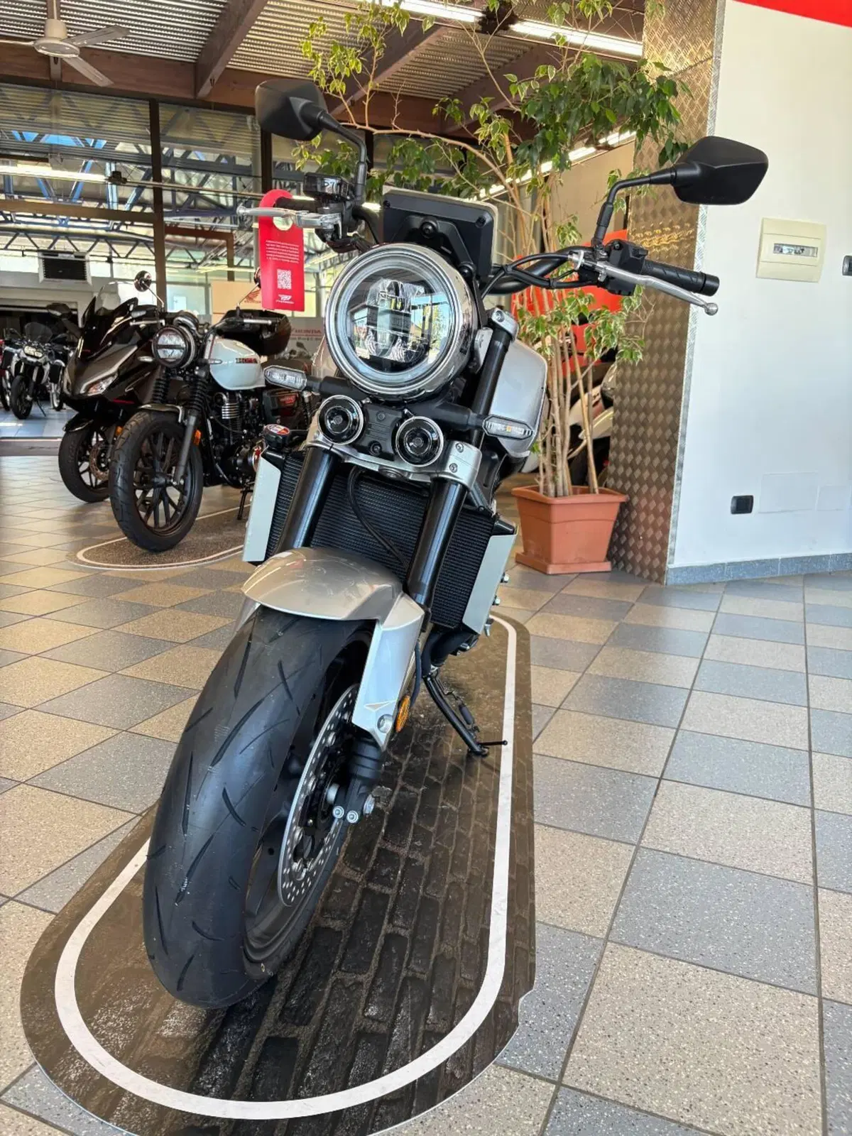 Honda CB 1000 F (2026) (2)