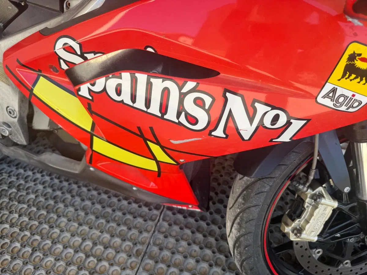 Aprilia RS 125 (2006 - 14) (4)
