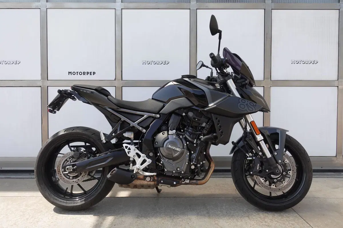 Suzuki GSX-8S (2023 - 24) (2)
