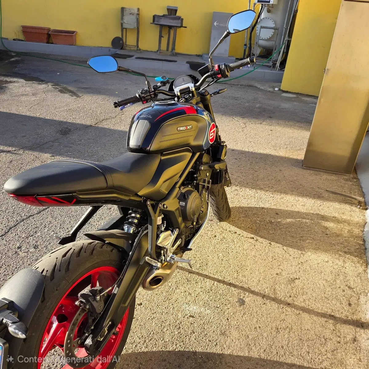 Triumph Trident 660 Triple Tribute Edition (2025 - 26) (3)