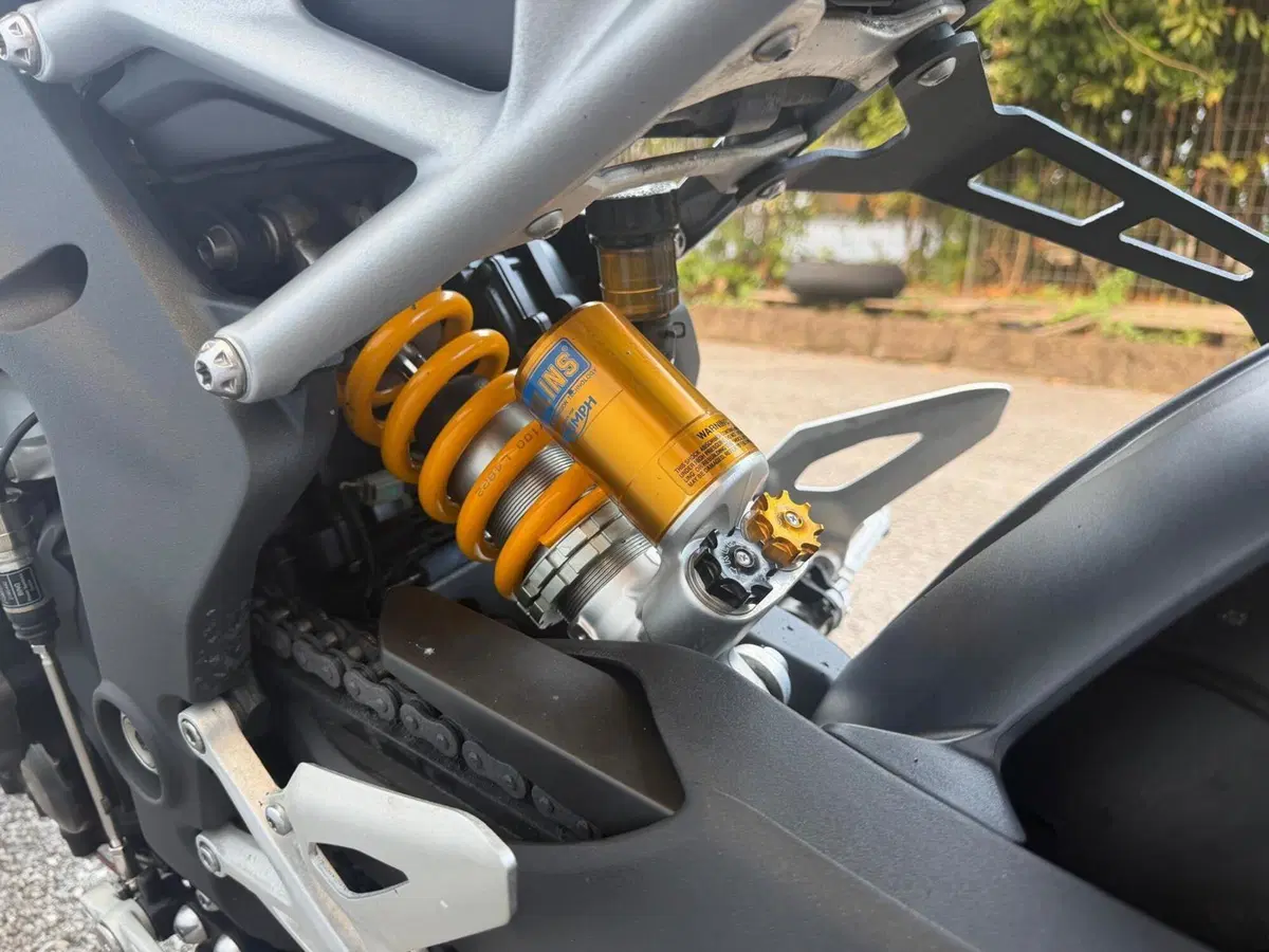 Triumph Speed Triple 1200 RS (2021 - 24) (4)