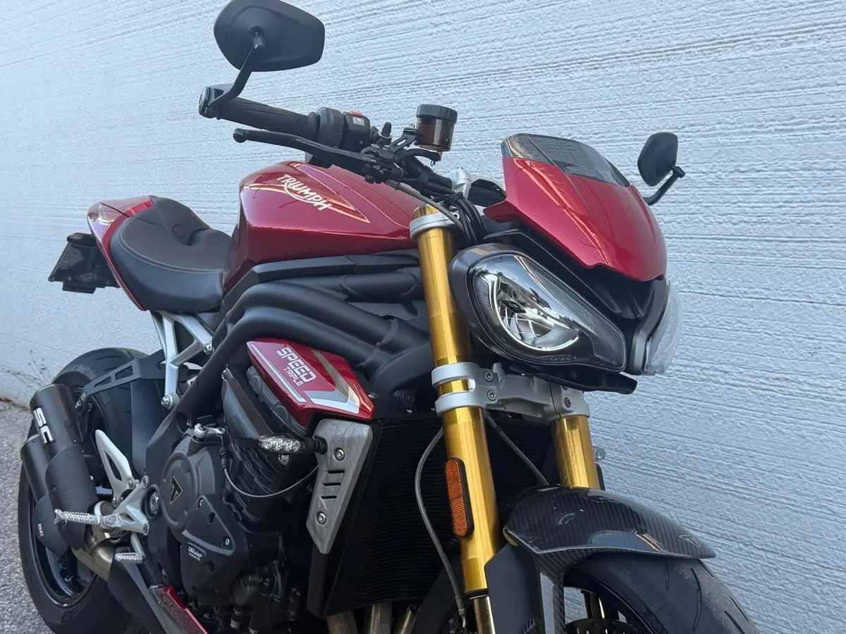 Triumph Speed Triple 1200 RS (2021 - 24) (15)
