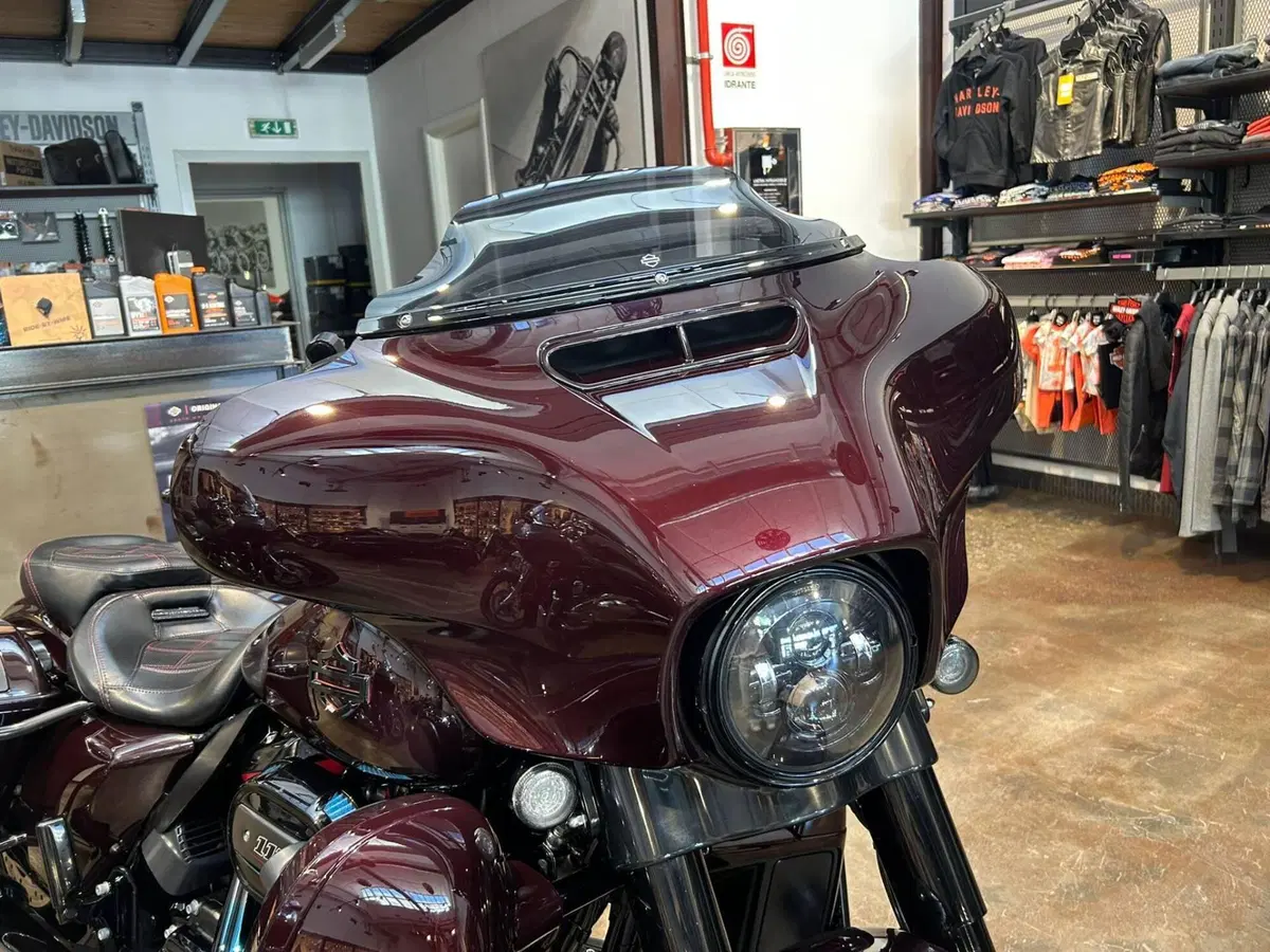 Harley-Davidson 117 Street Glide (2018 - 20) - FLHXSE (2)