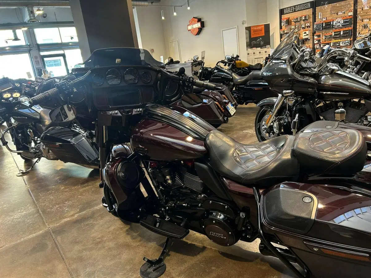 Harley-Davidson 117 Street Glide (2018 - 20) - FLHXSE (6)