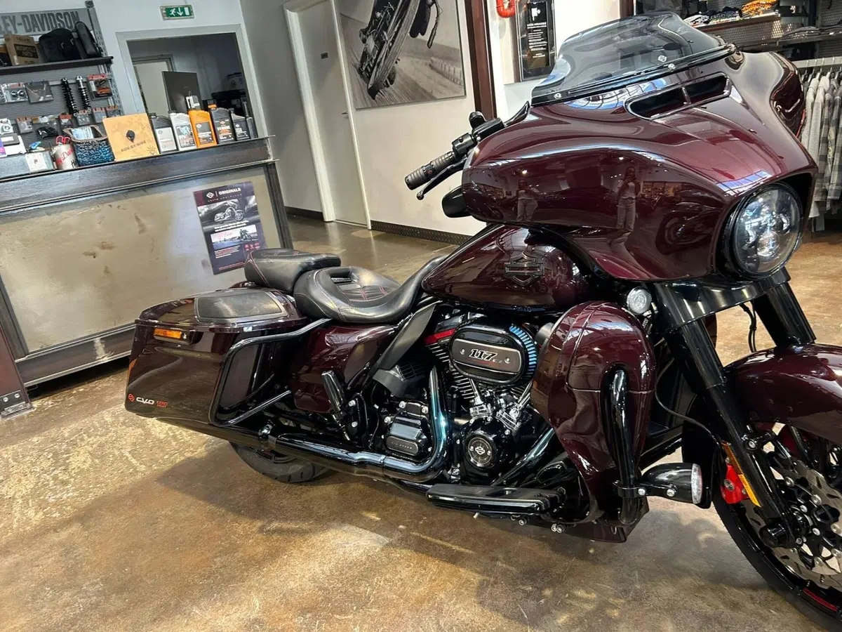Harley-Davidson 117 Street Glide (2018 - 20) - FLHXSE (8)