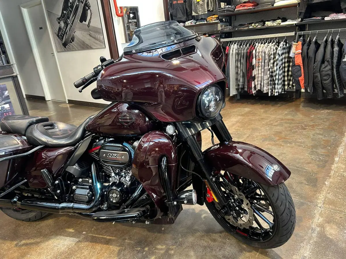 Harley-Davidson 117 Street Glide (2018 - 20) - FLHXSE (9)